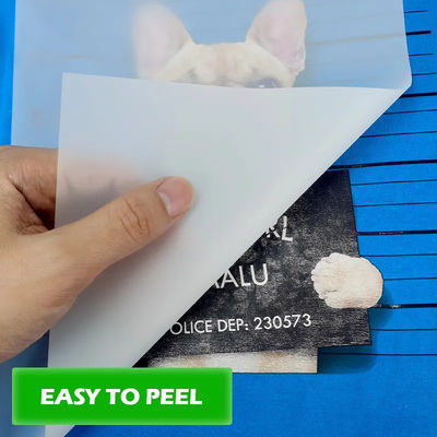 PET Heat Transfer Film For L1800 805 1390 XP600 3200 4720 DX5 75mic 60cm*100m ฟิล์มพิมพ์หมึกสีขาวสําหรับเครื่องแต่งกาย