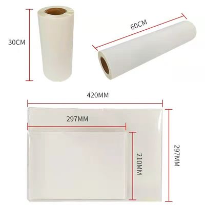 DTF Film Hot Peel Double Matte 30cm*100m Instant Peel ฟิล์มพิมพ์หมึกขาว