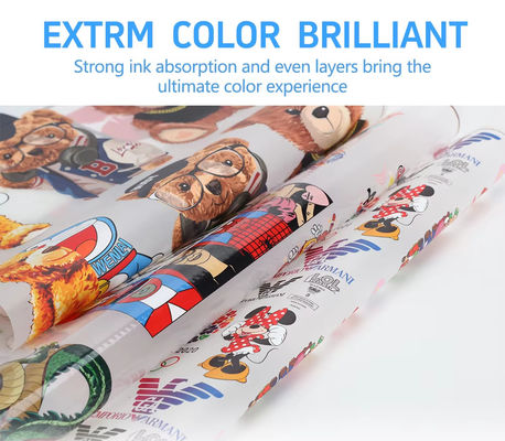 30CM*100M Hot Peel Single Double Side Roll DTF Transfer Film สําหรับเครื่องพิมพ์ชนิดหมึก DTF