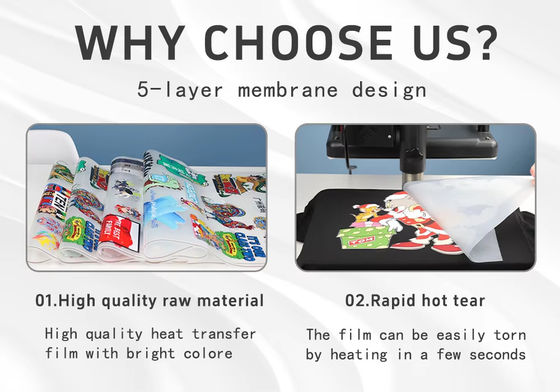 30CM*100M Hot Peel Single Double Side Roll DTF Transfer Film สําหรับเครื่องพิมพ์ชนิดหมึก DTF