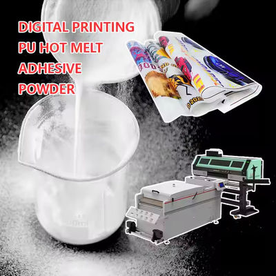 DTF ผง TPU แหลมละลายร้อนสําหรับการพิมพ์ตามต้องการที่มีคุณภาพสูง (1kg, 2kg)